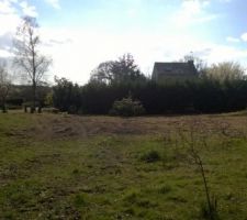 Vue du terrain. Le Sud en face. L'entrée se fera a gauche au niveau des sapins.
