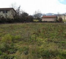 Le terrain