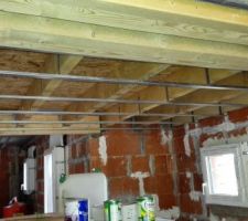 Rails au plafond