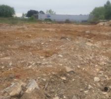 Ce matin au lotissement