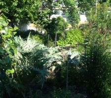 Decouverte du terrain