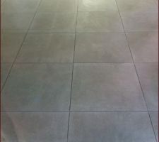 Carrelage EmilCeramica Petra grey