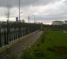 Pose de baches micro aérées avant plantations arbustes pour haies