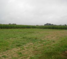 Voici notre fameux terrain tant attendu!!!!!!!!!