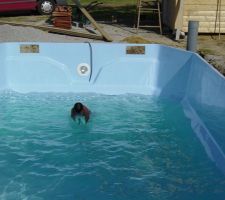 Premier essai de baignade par un spécialiste pour validation technique :-)).
En haut à droite, on voit le tuyau qui permettra de pomper l'eau à l'extérieur de la coque s'il y a besoin de vider la piscine un jour et ainsi éviter qu'elle remonte par flottaison.