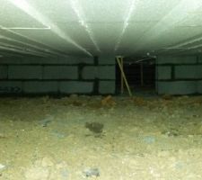 J4 : 2ème jour de travaux