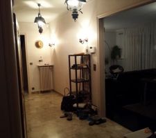 Entree : couloir et salon