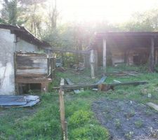 Démolitions abris, volières, clapiers dans le jardin