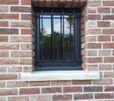 On pose les plaquettes découpées dans les briques pleines