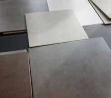 Les différents carrelages choisit, gris clair 33x33 pour le WC du bas, marron 33x33 pour la sde et la salle de bain et gris graphite 41x41 pour la pièce de vie.