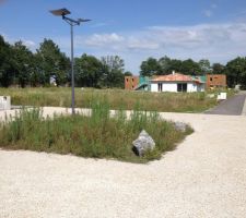 Terrain trouv&eacute; et d&eacute;cid&eacute; le 5 juillet 2014