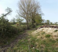 Y aura du nettoyage a faire enlever les tas de bois et la terre glaise 

vu du fond du terrain