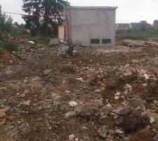 Bjr &agrave; tous 

Voici encore quelques photos prise ce jour , il y a eu du changement &ccedil;a avance .