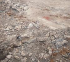 Bjr &agrave; tous 

Voici encore quelques photos prise ce jour , il y a eu du changement &ccedil;a avance .