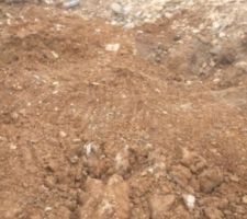 Bjr &agrave; tous 

Voici encore quelques photos prise ce jour , il y a eu du changement &ccedil;a avance .