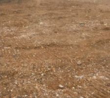 Bjr &agrave; tous 

Voici encore quelques photos prise ce jour , il y a eu du changement &ccedil;a avance .