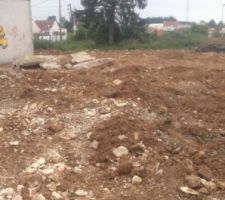 Bjr &agrave; tous 

Voici encore quelques photos prise ce jour , il y a eu du changement &ccedil;a avance .