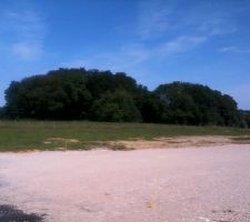 Voici le terrain qui fait partie d'un petit lotissement de 8 parcelles.