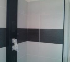 Salle de douche. Colonne de douche mont&eacute;e.