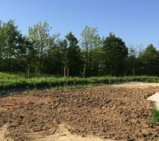 Remise en état du jardin et délimitation du cabanon