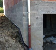 J 106 Delta MS retaillé et dauphin redescendu pour crépis