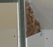 Pour les cloisons nous avons mis de la laine de verre entre les plaques de plâtre pour plus d'isolation comme au rez de chaussé