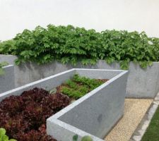 Mon jardin potager surélevé