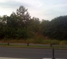 Terrain vue de la chauss&eacute;e