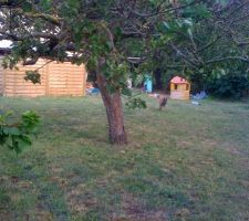 Limite de la propriet&eacute;,il s agit d un lot arri&eacute;re