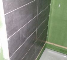 Faïence de la douche - 60 x 20
