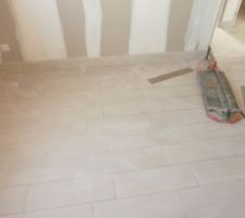 04.05.2015 : le carrelage est pos&eacute;