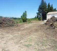 17.05.2015 : Le nettoyage du terrain n'est pas fini mais on avance.