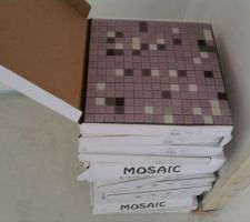 Mosa&iuml;que pour la douche &agrave; l'italienne