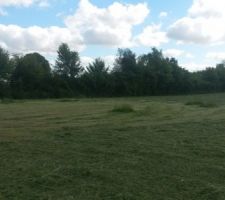 Tonte du terrain avant travaux