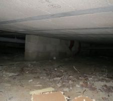 Vide Sanitaire