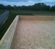 Pose de OSB de 22 mm avec environ 2500 vis