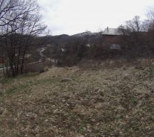 Vue ouest limite = arbres au pied la maison voisine