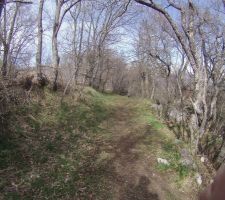 Chemin communal qui borde notre terrain vue est