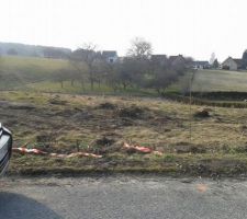 Nettoyage du terrain, hop, plus de haie !!!