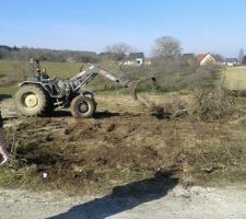 Nettoyage du terrain, hop, plus de haie !!!