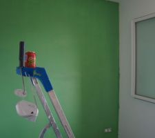Couleur jungle pour Rorry