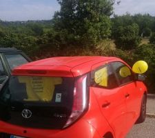Action de l'aamoi de montauroux