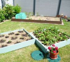 25/05/2015 nouvel emplacement du potager