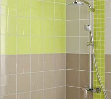 Voici le style de faience pour notre salle de bain mais nous l'avons pris bleu