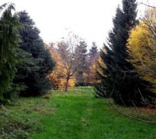 Voil&agrave; le terrain du futur lotissement