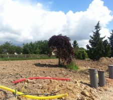 Vue de notre terrain