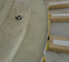 Ragréage des marches arrondies pour le béton ciré