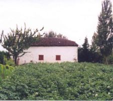Vue coté Est depuis le champ de pommes de terre.