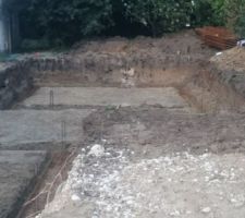 Belle surprise en Allant sur le terrain