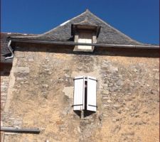 1er volet en place pour les chien assis